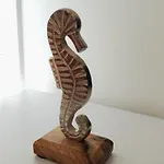 Aria Buona * בורדיגרה